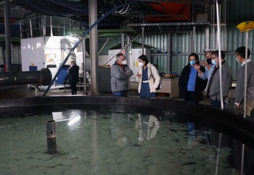 O Concello e Stolt Sea Farm pretenden deseñar visitas guiadas para escolares á granxa de acuicultura